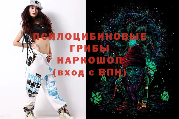 стаф Балахна