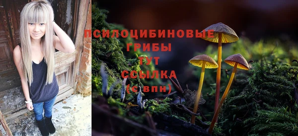 стаф Балахна