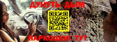 apvp Кингисепп
