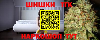 дмт Камышлов