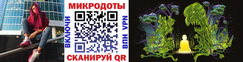 Псилоцибиновые грибы Psilocybine cubensis Реутов