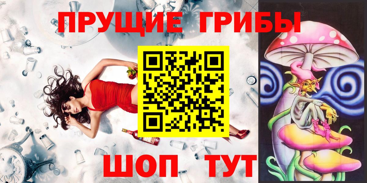 Реутов  Галлюциногенные грибы Psilocybe  Вход с VPN  Псилоцибиновые грибы мухоморы 